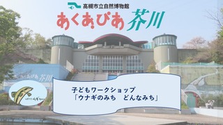 WSウナギ表紙