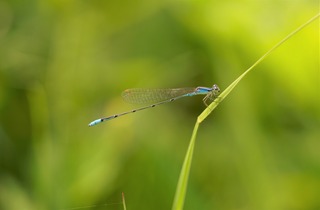 DSC00218