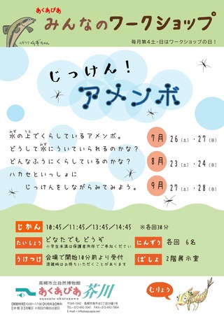 2025_7-9_じっけんアメンボ_WSポスター
