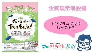 タイトル