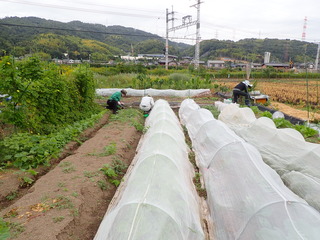 20241016ナガエ1