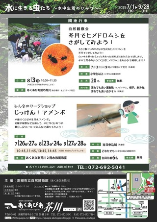 チラシ裏_page-0001