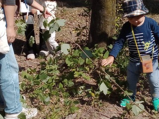 IMG_2023-10-19-10-44-00-000