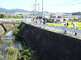DSC06445