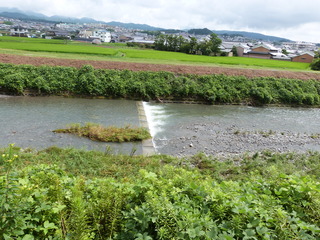 P1350334