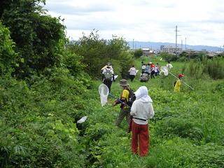 DSC05997