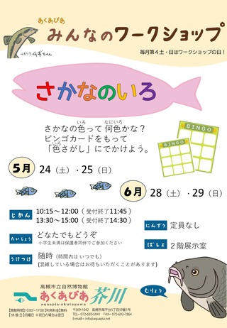 さかなのいろ