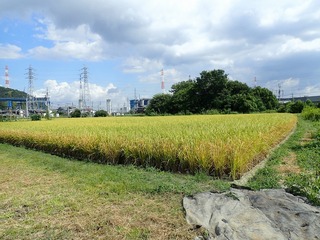 20251001nagae4