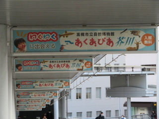 人工デッキ２