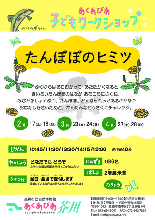たんぽぽのヒミツ_ポスター0119