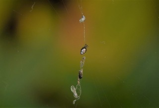 DSC00187
