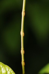 50167c3f.jpg