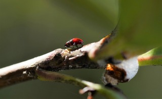 DSC00287