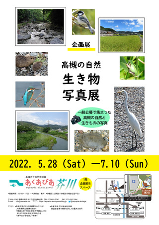 生きもの写真展チラシ表