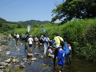 DSC08694