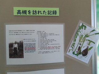 牧野ミニ展示2