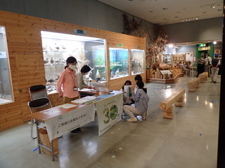 あくぴフェス2023_16