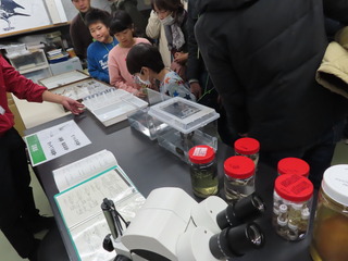 水槽裏側探検2