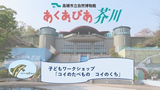 子どもWSコイタイトル
