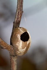 7cae5137.jpg