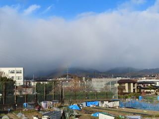 虹