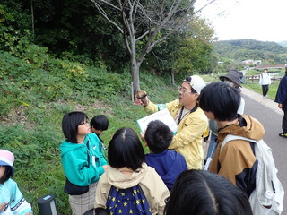 20231021キノコ観察会3