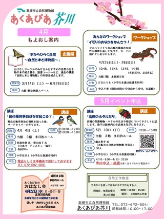 2026年4月