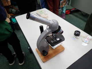 20231021キノコ観察会1