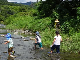 DSC07229