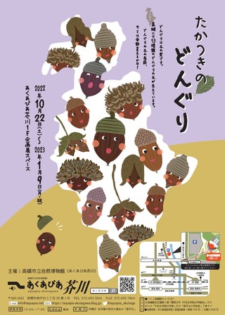 どんぐりポスター