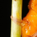 8aa30722.jpg