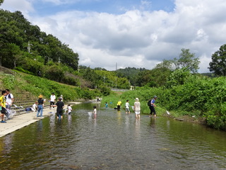 DSC04728