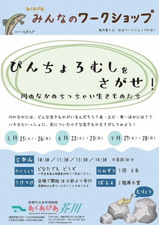 s-2024.5-7 ぴんちょろWSチラシ_page-0001