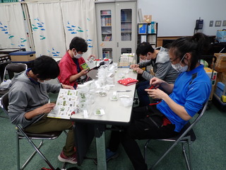 種類を調べる