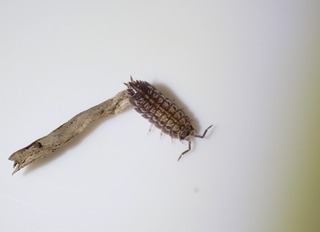 P1230136
