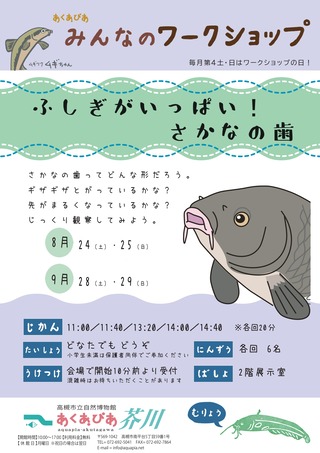 s-202408-09 さかなの歯WSチラシ_