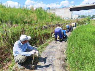 20230802ナガエバスターズ
