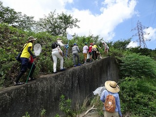 9a31ff69.jpg