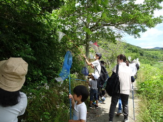 DSC08664