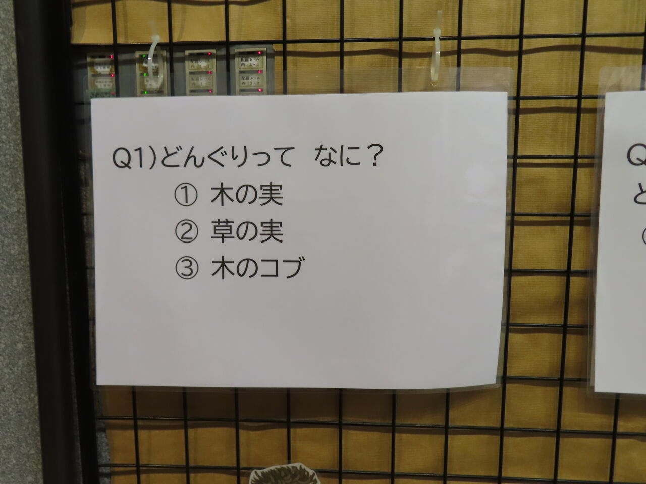 企画展「たかつきのどんぐり」 : あくあぴあブログ