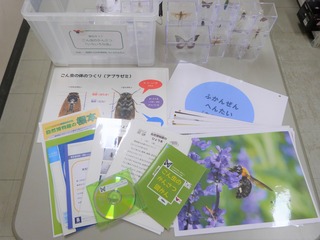 P1350994 (2)