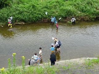DSC01384