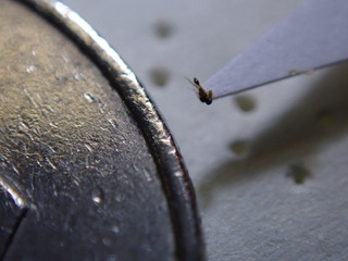 P6050034
