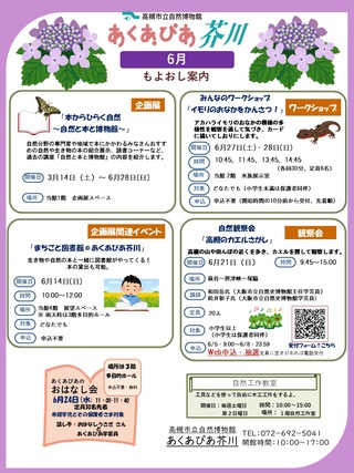 2026年6月