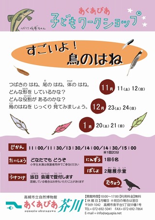 s-鳥のはねポスター