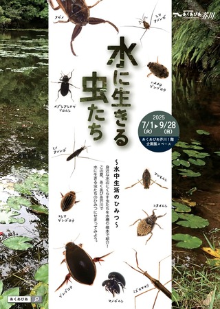 チラシ表_page-0001