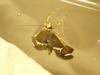20251001nagae1