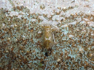 s-P4260128