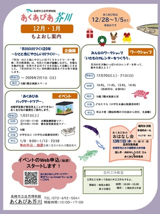 2025年12月-2026年1月