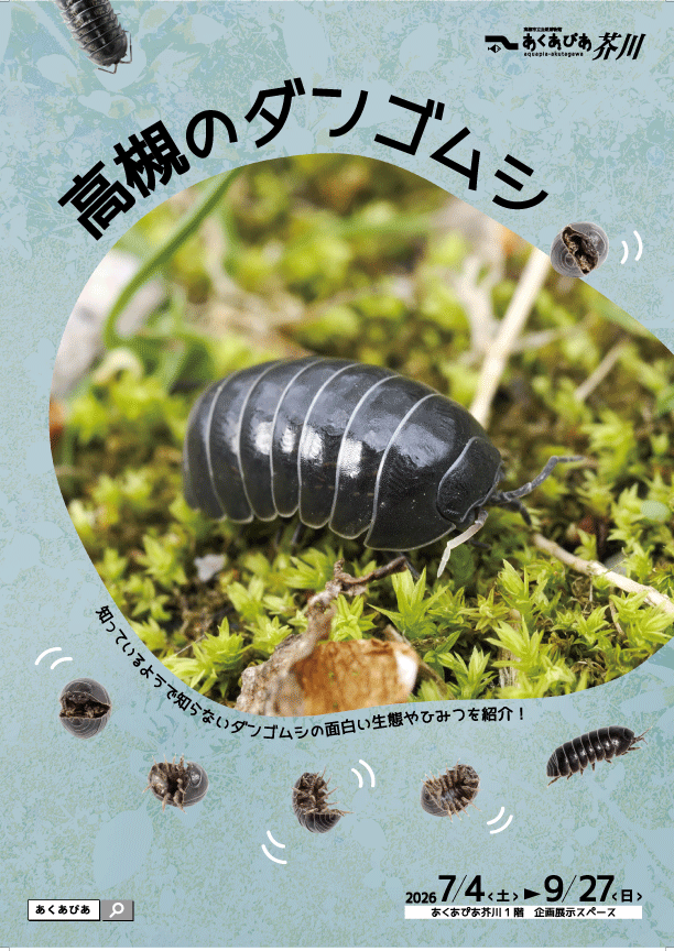 高槻のダンゴムシチラシ